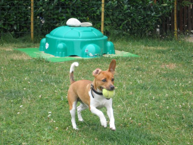 IMG 1159